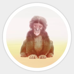 Save Bonobo Sticker